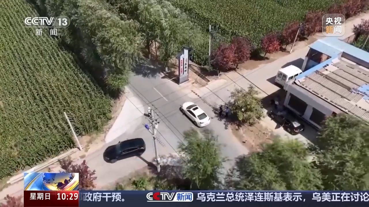 無信號燈路口通行規(guī)則_國慶中秋假期交通安全風險_出行提示