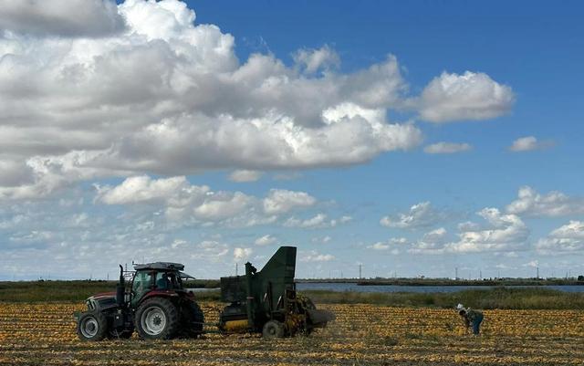 卡車(chē)運(yùn)輸對(duì)道路影響_美國(guó)公路狀況_路況