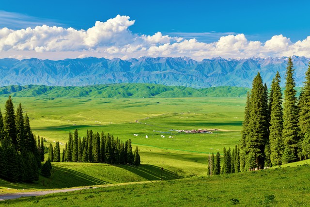 2026新車牌改革_8位號牌分類標(biāo)識_限行