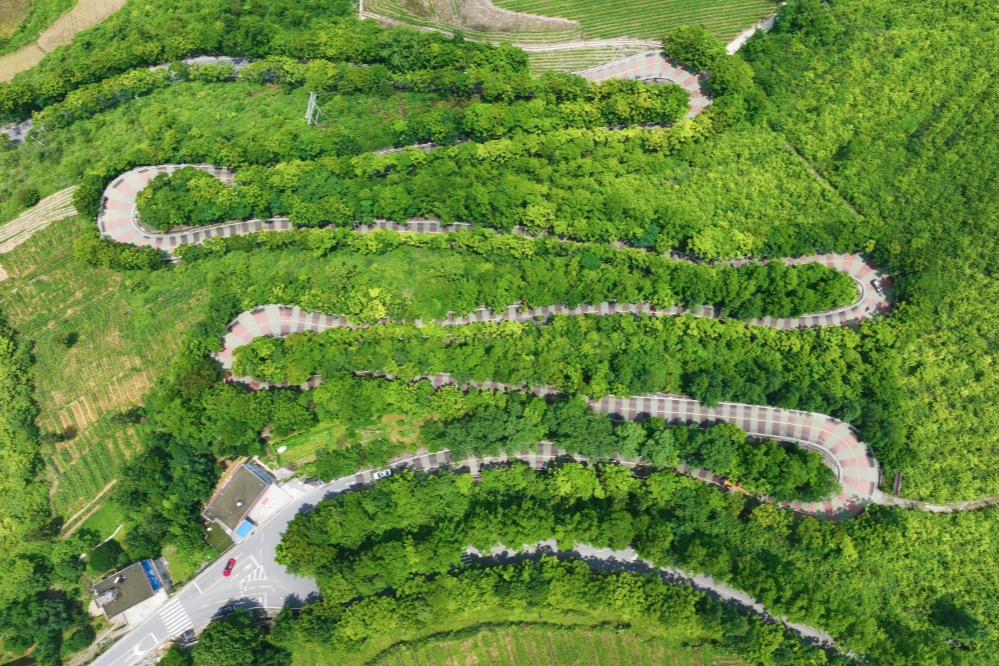 出行提示_農(nóng)村道路交通安全提示_駕駛?cè)顺鲂邪踩?/></p></div>
    <div   id="uinhrrg"   class="clearfix"></div>
        <h5 class="post-tags"><span id="uinhrrg"    class="glyphicon glyphicon-tags"></span> <a href="http://www.laoe8.com/tags-7357.html" title="農(nóng)村交通安全">農(nóng)村交通安全</a><a href="http://www.laoe8.com/tags-2648.html" title="交通安全提示">交通安全提示</a><a href="http://www.laoe8.com/tags-8805.html" title="駕駛?cè)税踩?>駕駛?cè)税踩?/a><a href="http://www.laoe8.com/tags-6889.html" title="行人安全">行人安全</a><a href="http://www.laoe8.com/tags-8806.html" title="黔江交警">黔江交警</a></h5>
        <div   id="uinhrrg"   class="alert alert-info p-copyright" role="alert">
        <p> 本站文章除注明轉(zhuǎn)載/出處外，均為本站原創(chuàng)或翻譯。若要轉(zhuǎn)載請(qǐng)務(wù)必注明出處，尊重他人勞動(dòng)成果共創(chuàng)和諧網(wǎng)絡(luò)環(huán)境。 </p>
        <p> 轉(zhuǎn)載請(qǐng)注明 : 文章轉(zhuǎn)載自 ?<a href="http://www.laoe8.com/" rel="bookmark" title="作者：admin"> 途訊交通網(wǎng) </a>?<a href="http://www.laoe8.com/txfl-3.html" rel="bookmark" title="網(wǎng)站分類：出行攻略與工具"> 出行攻略與工具 </a> ?<a href="http://www.laoe8.com/tx/13597.html" rel="bookmark" title="本文固定鏈接：http://www.laoe8.com/tx/13597.html"> 10月16日黔江民警做客欄目解讀農(nóng)村道路交通安全要點(diǎn) </a> </p>
    </div>
    <div   id="uinhrrg"   class="clearfix"></div>
    <ul class="post-share-tools">
        <li><a href="javascript:;" class="share-tools praise" xv=