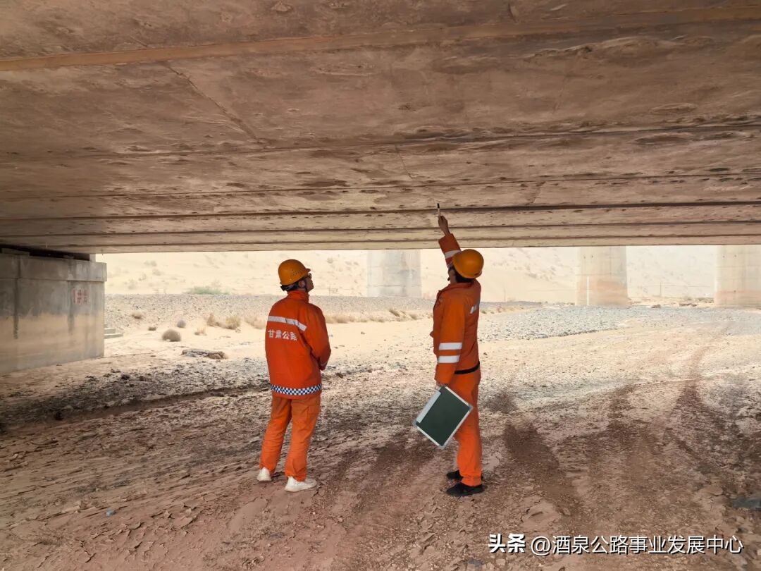 病害分析_路況_路況調(diào)查