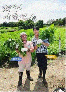 见字如面